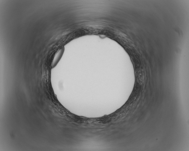 X0000111651061200908141246
