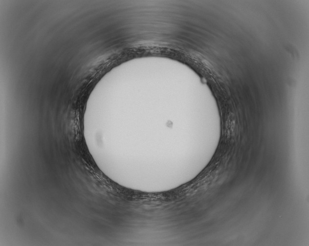 X0000111651062200908141246