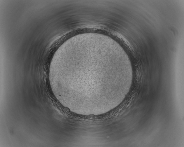 X0000111651064200908141246