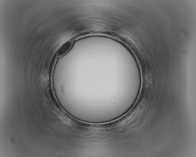 X0000111651065200908141246