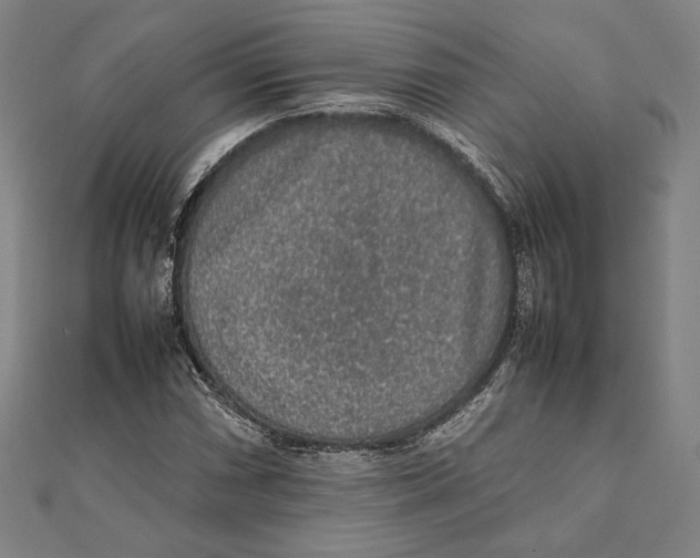 X0000111651066200908141246