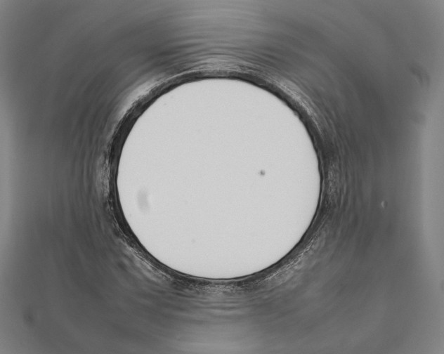 X0000111651067200908141246