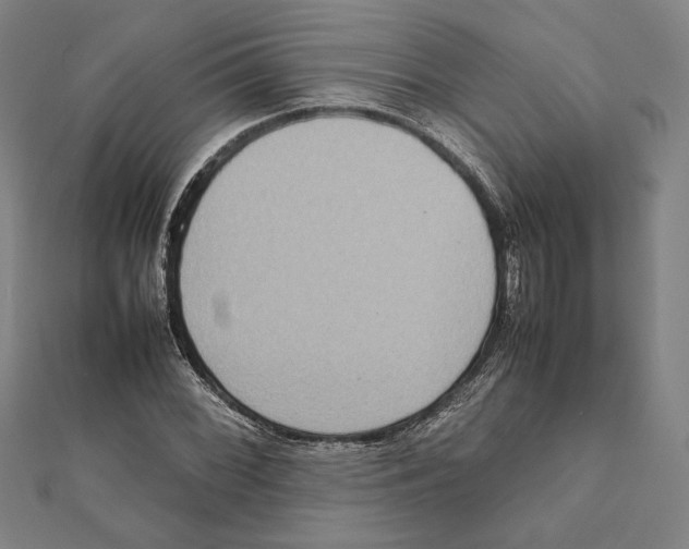 X0000111651068200908141246
