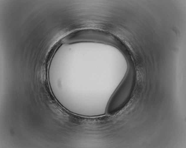 X0000111651069200908141246