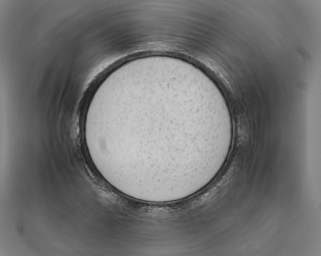 X0000111651070200908141246