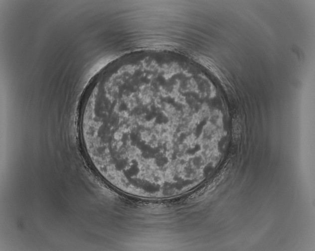 X0000111651071200908141246