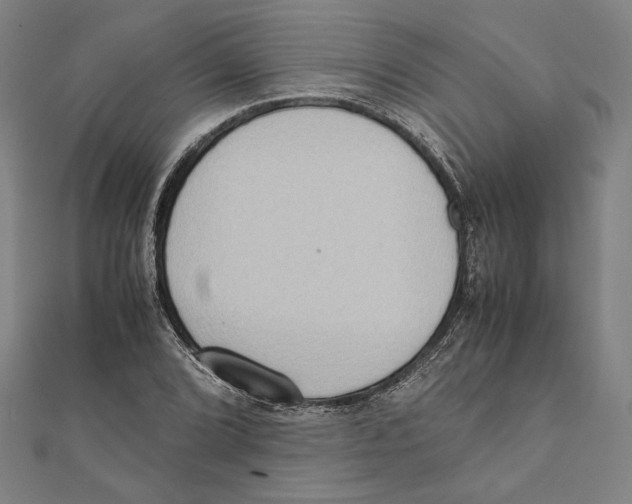 X0000111651072200908141246
