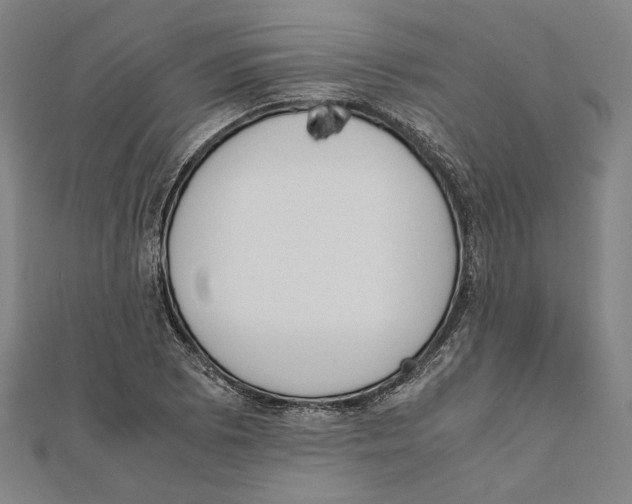 X0000111651073200908141246