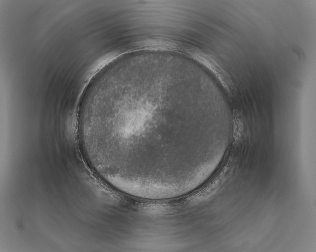 X0000111651074200908141246