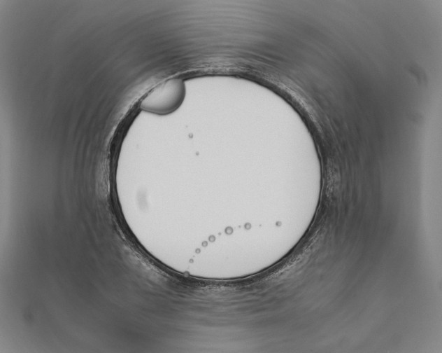 X0000111651075200908141246