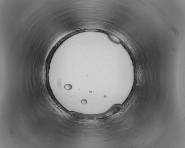 X0000111651076200908141246