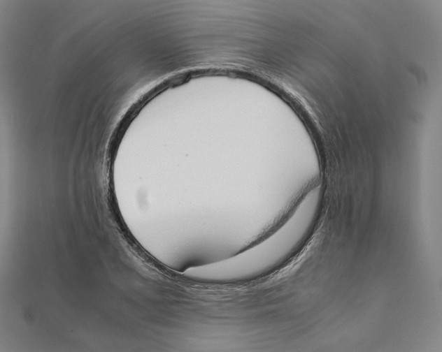X0000111651077200908141246