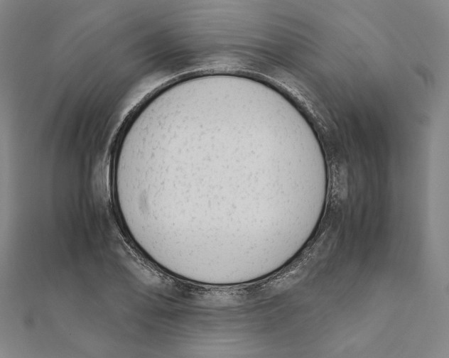 X0000111651078200908141246