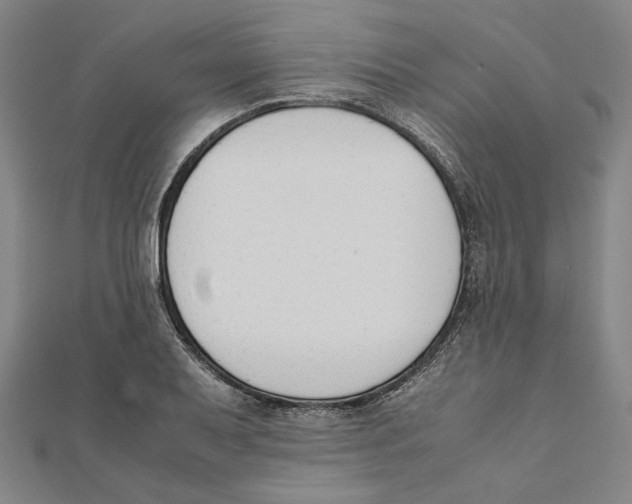 X0000111651079200908141246