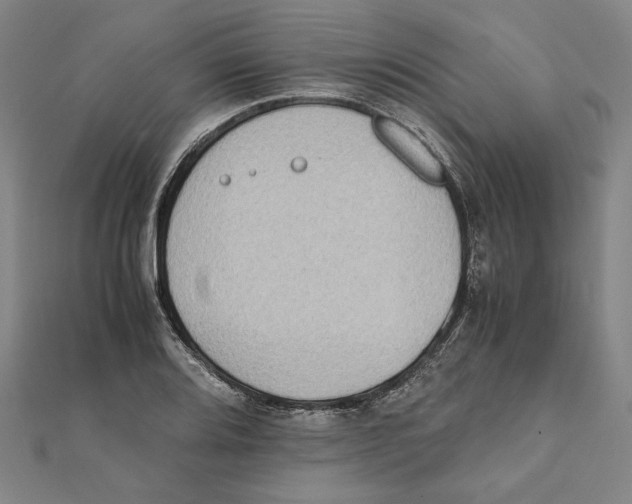X0000111651080200908141246