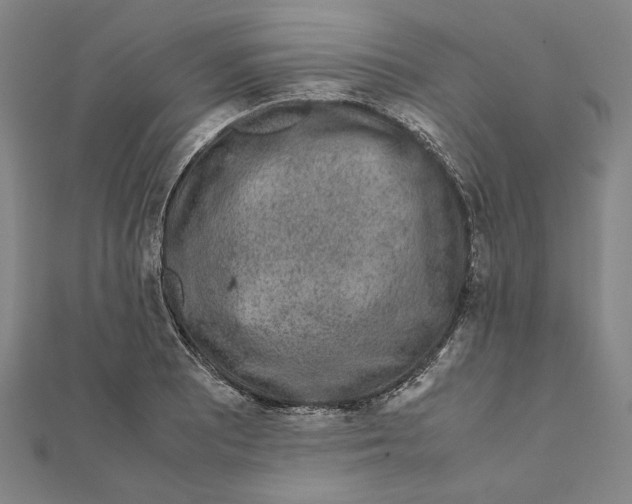 X0000111651081200908141246