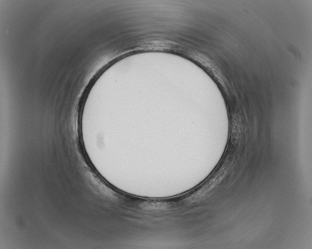 X0000111651083200908141246