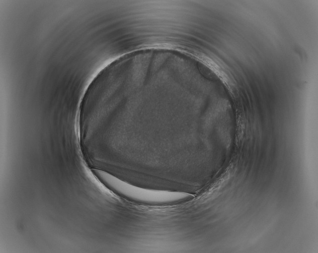 X0000111651084200908141246