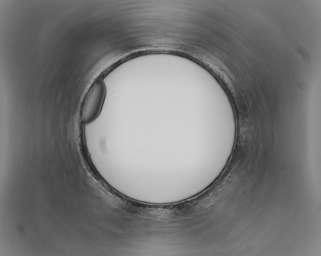 X0000111651085200908141246