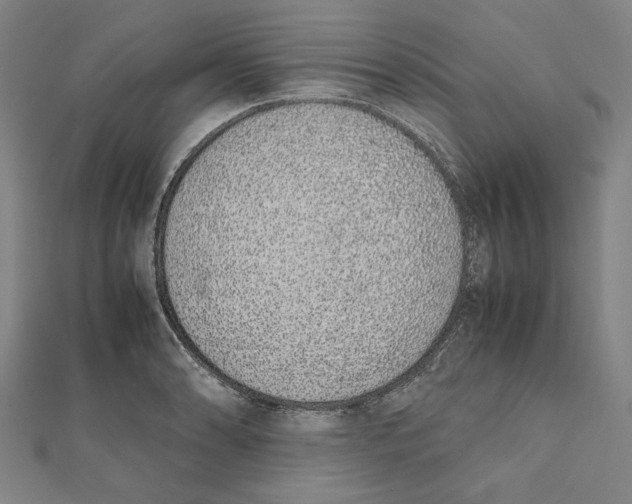 X0000111651086200908141246