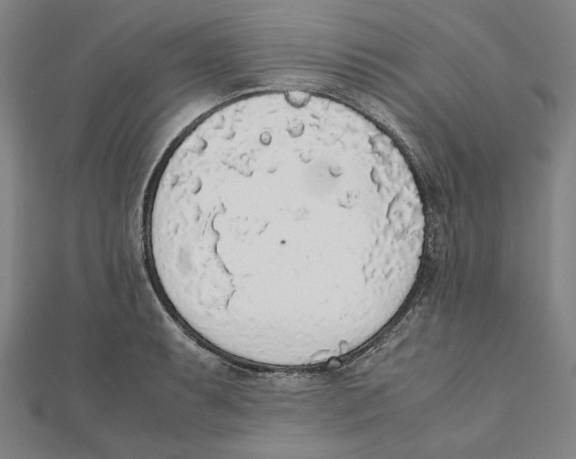 X0000111651087200908141246