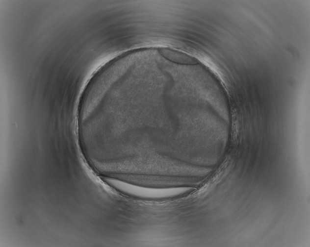 X0000111651088200908141246