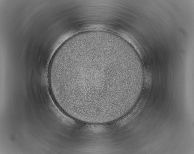 X0000111651090200908141246