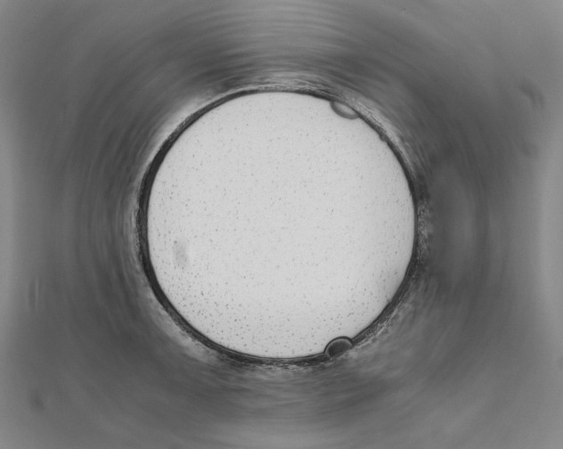 X0000111651091200908141246