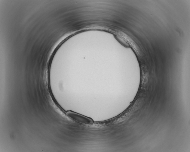 X0000111651092200908141246