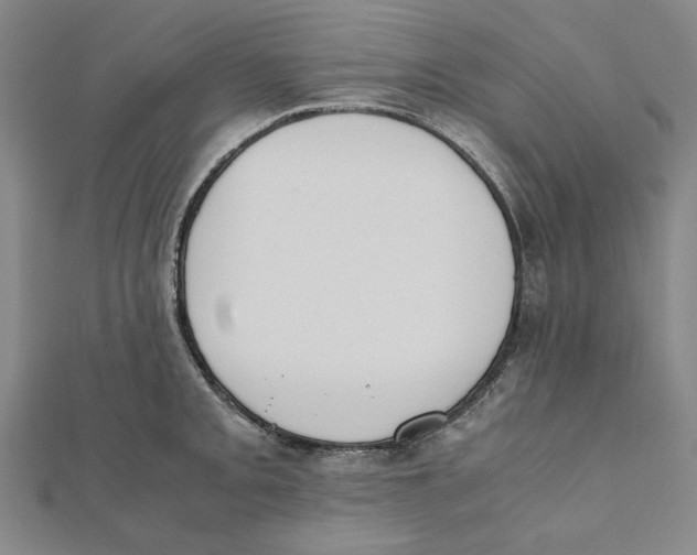 X0000111651093200908141246