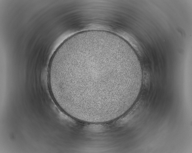 X0000111651094200908141246