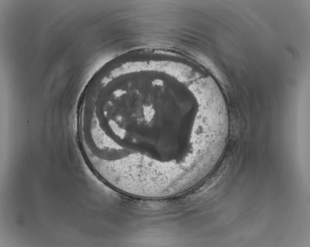 X0000111651095200908141246