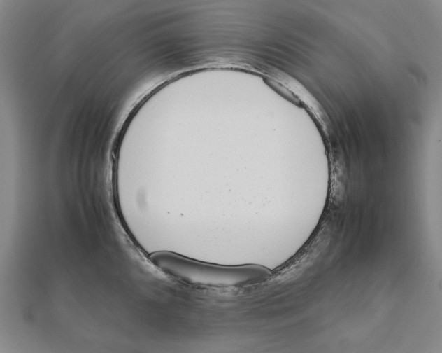 X0000111651096200908141246