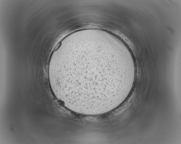 X0000111651097200908141246