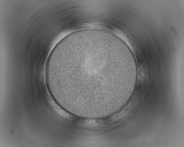 X0000111651098200908141246