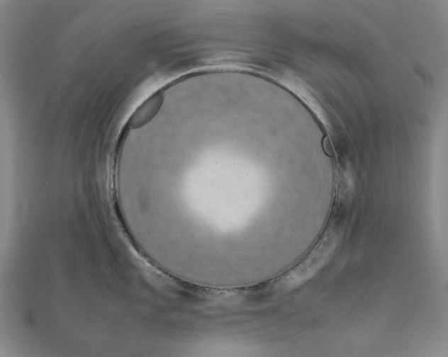 X0000111651101200908141246