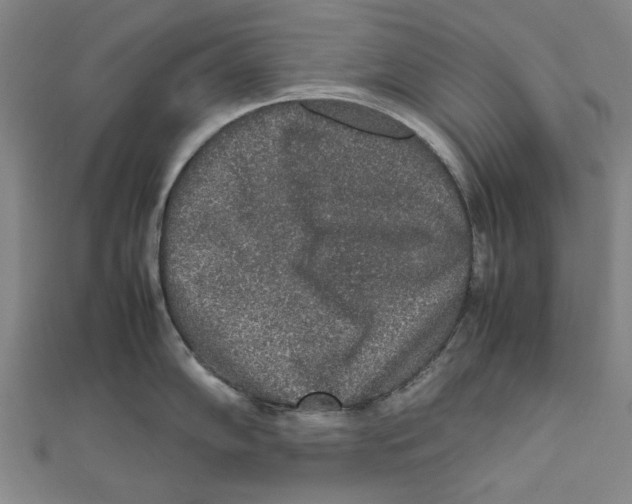 X0000111651102200908141246