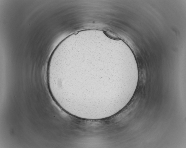 X0000111651103200908141246