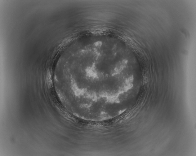 X0000111651106200908141245