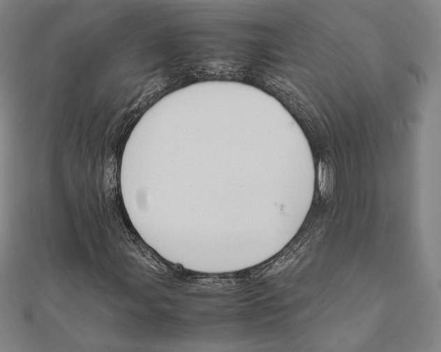 X0000111651107200908141245