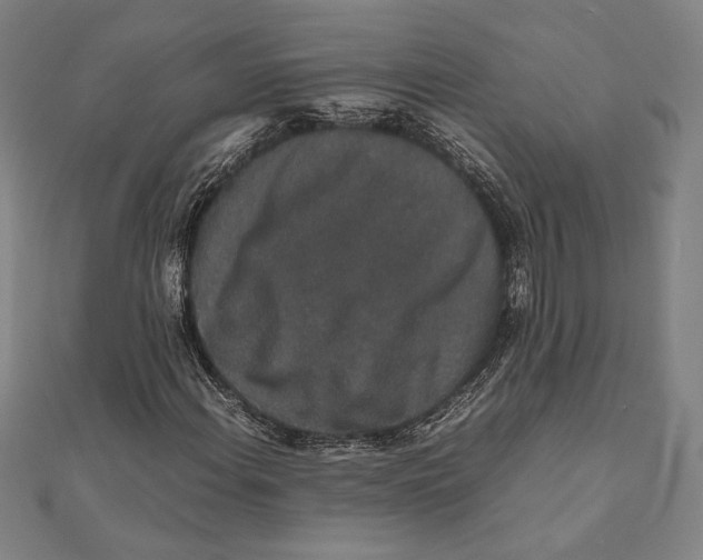 X0000111651108200908141245