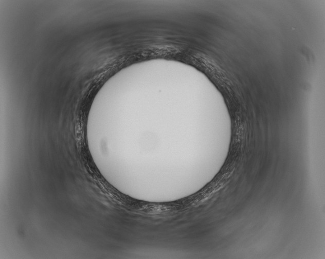 X0000111651109200908141245