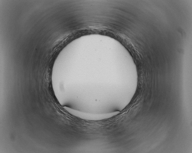 X0000111651110200908141245