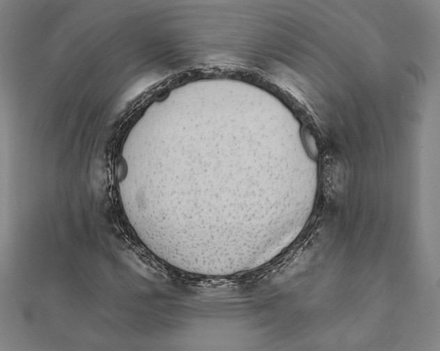 X0000111651112200908141245