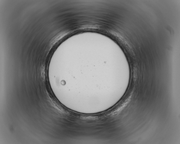 X0000111651113200908141245