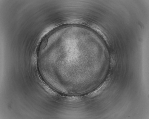 X0000111651114200908141245