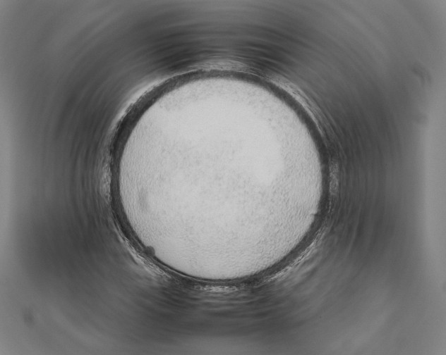 X0000111651115200908141245