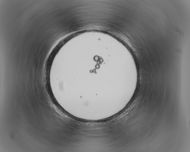 X0000111651116200908141245