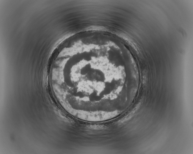 X0000111651117200908141245