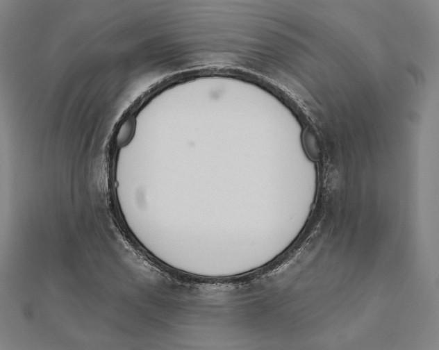 X0000111651118200908141245